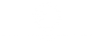 Walikale Engineering Africa white logo